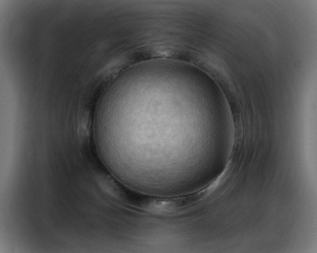 X0000088380174200705221101