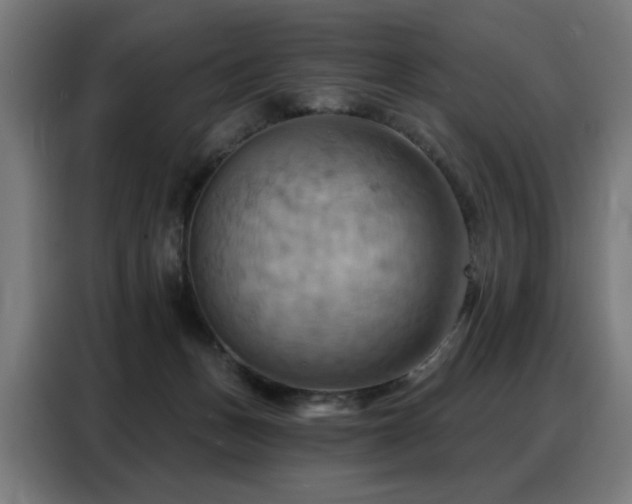 X0000088380175200705221101