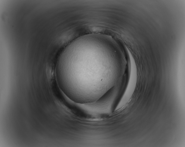 X0000088380176200705221101
