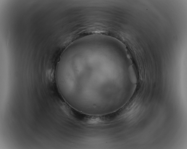X0000088380177200705221101