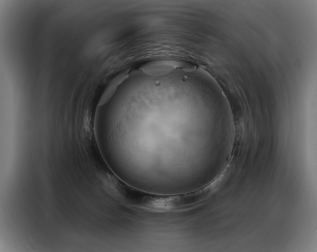 X0000088380178200705221101