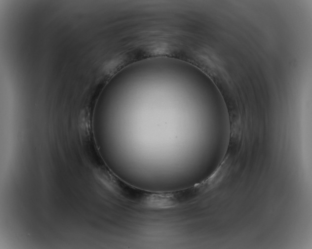 X0000088380179200705221101
