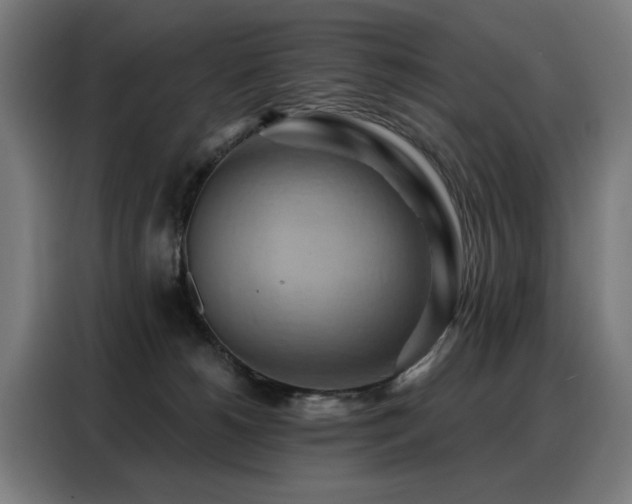 X0000088380180200705221101