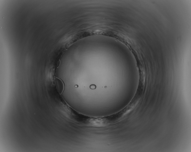 X0000088380181200705221101