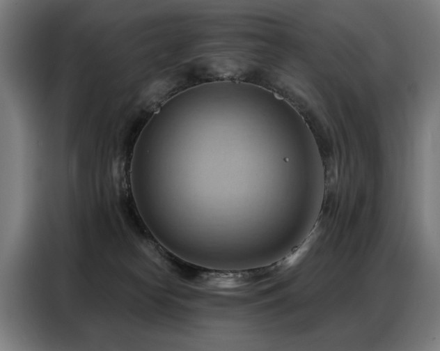 X0000088380182200705221101