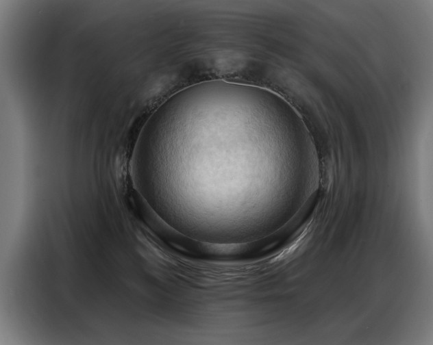 X0000088380184200705221101