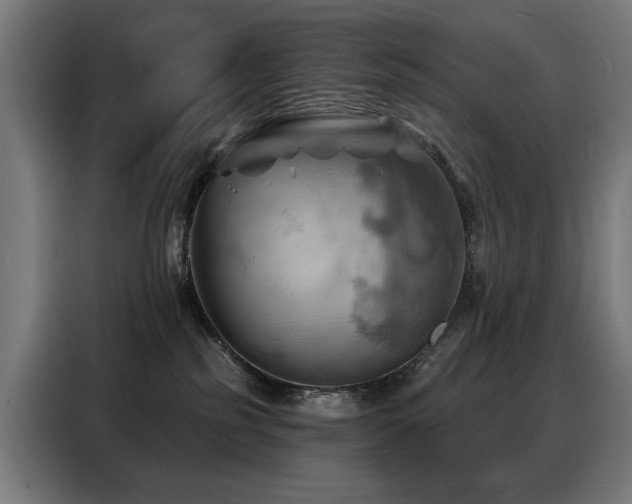 X0000088380185200705221101