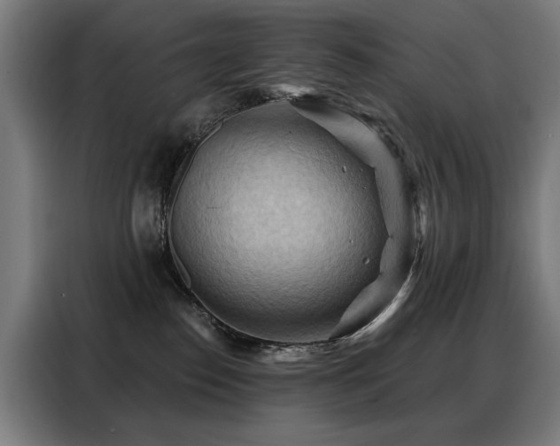 X0000088380186200705221101
