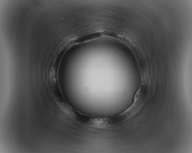 X0000088380187200705221101