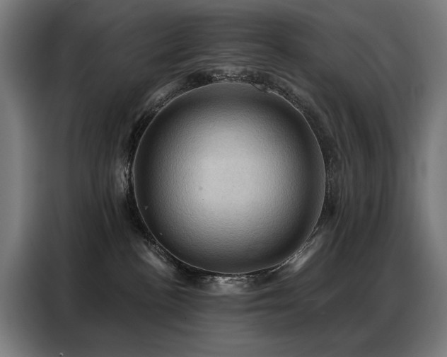 X0000088380188200705221101