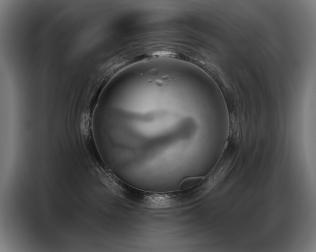 X0000088380189200705221101