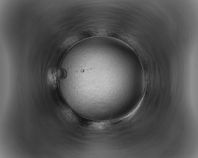 X0000088380190200705221101