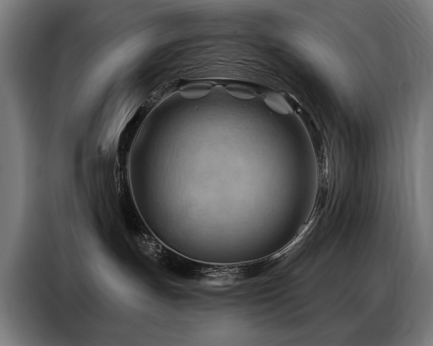 X0000088380191200705221101