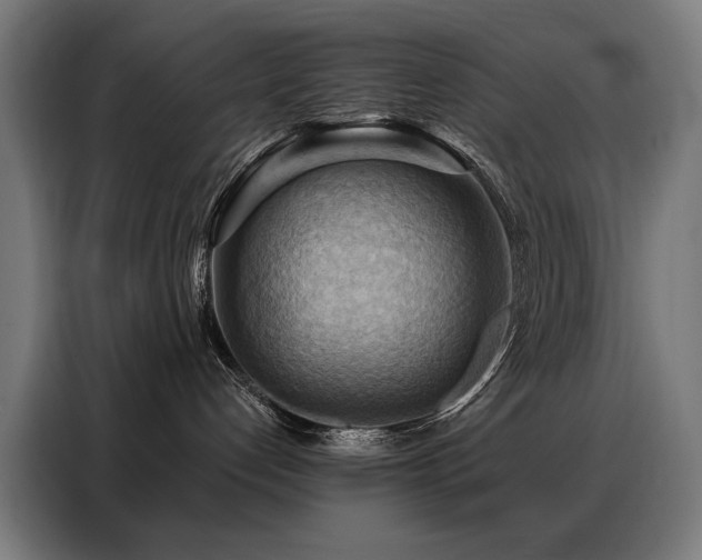 X0000088380192200705221101