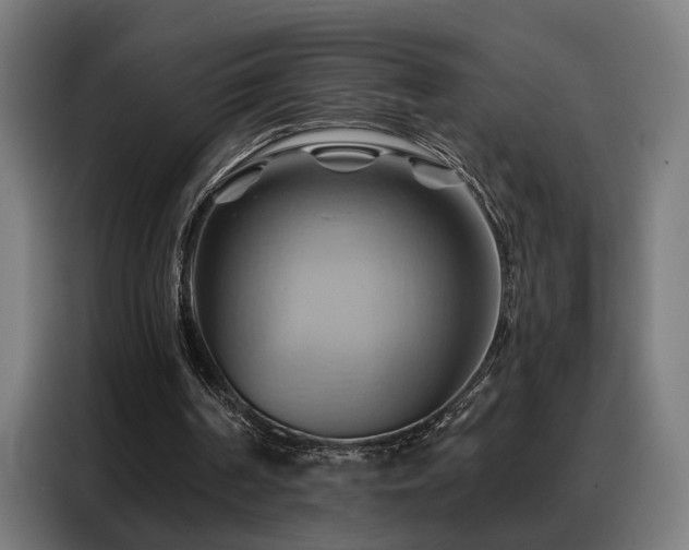 X0000088380194200705221100