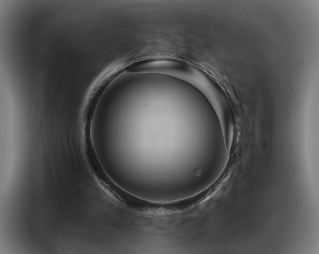 X0000088380197200705221100