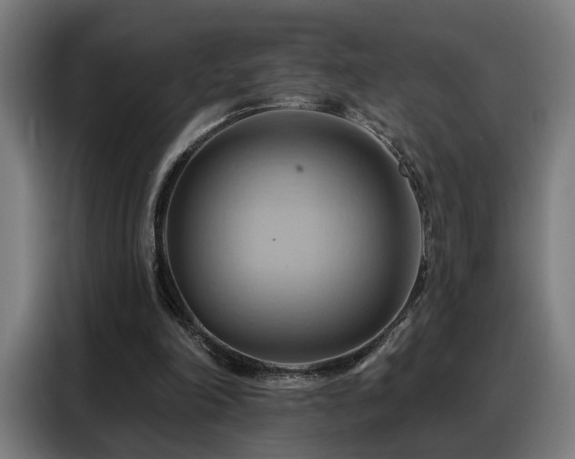 X0000088380198200705221100
