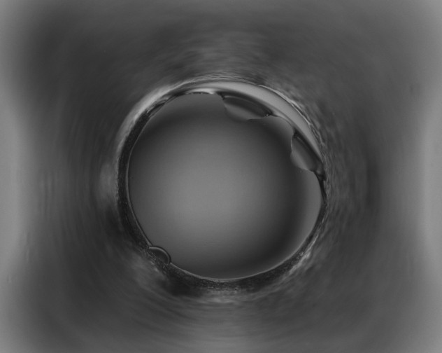 X0000088380200200705221100
