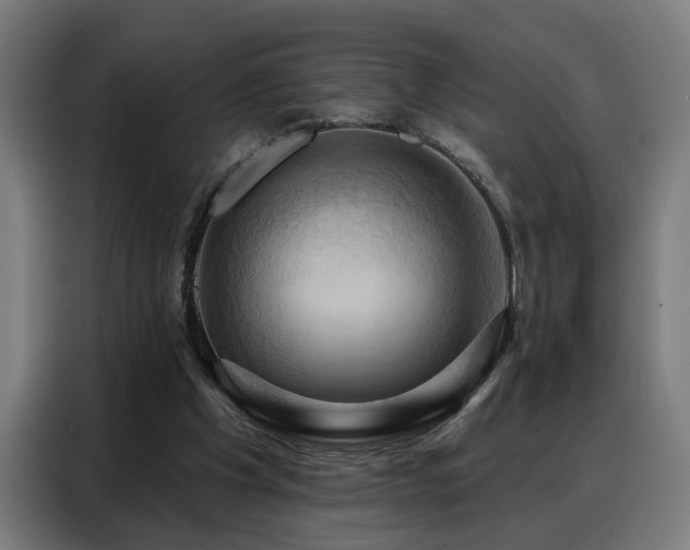 X0000088380201200705221100