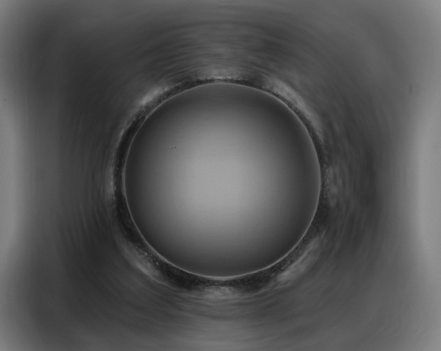 X0000088380203200705221100