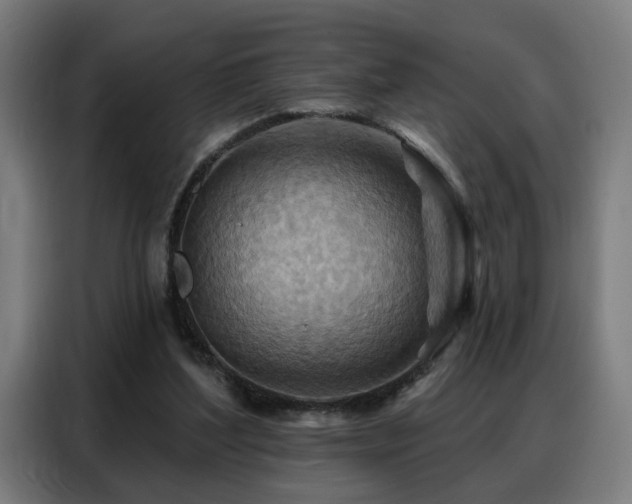 X0000088380204200705221100