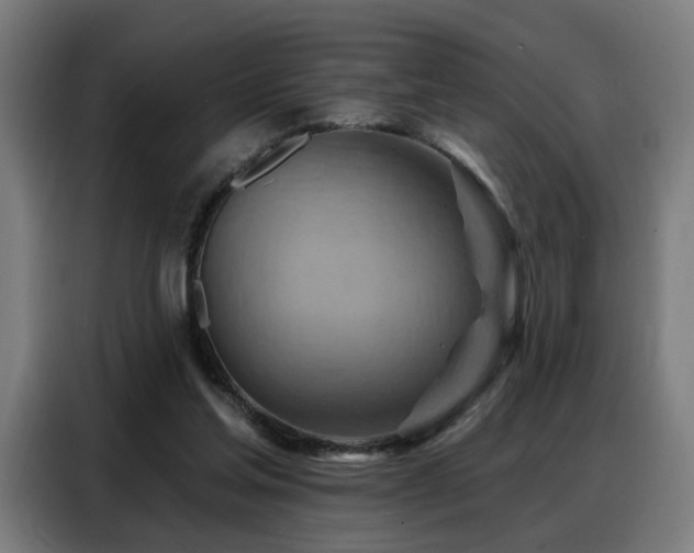 X0000088380205200705221100