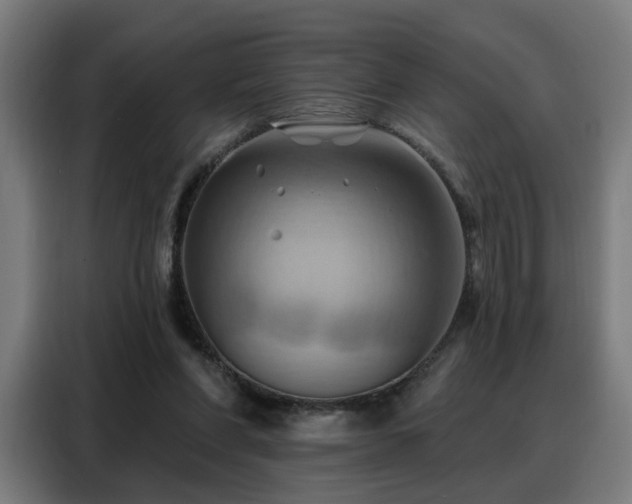 X0000088380206200705221100