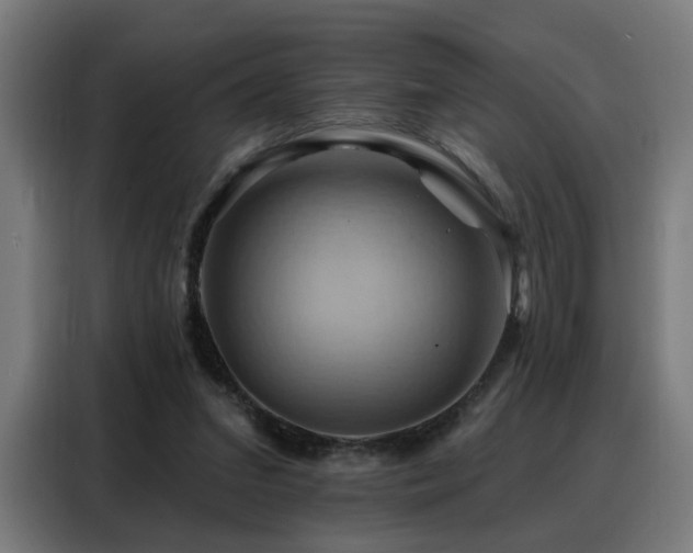 X0000088380207200705221100