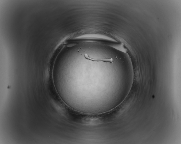X0000088380208200705221100