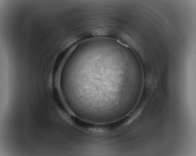 X0000088380209200705221100