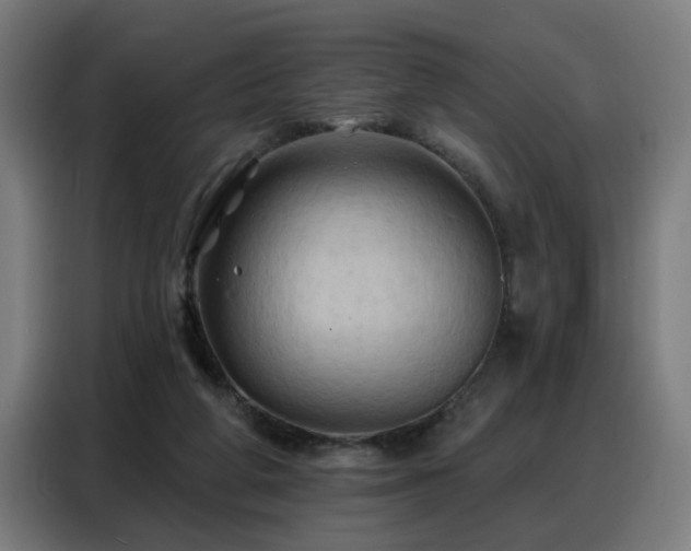 X0000088380210200705221100