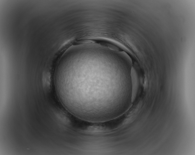X0000088380211200705221100