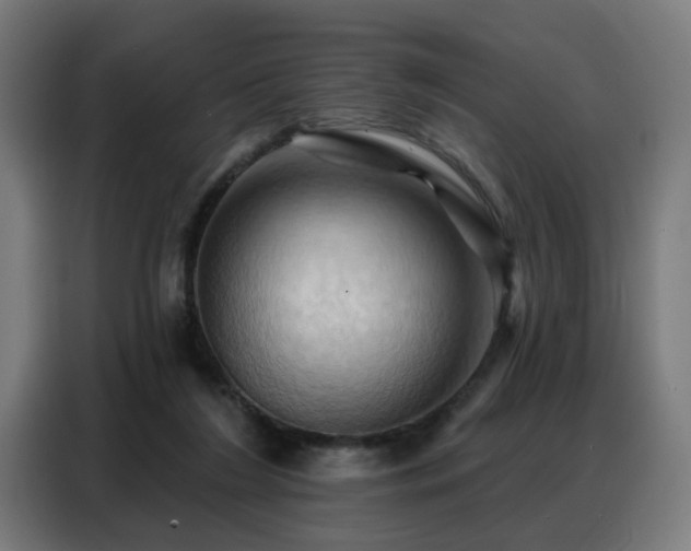 X0000088380212200705221100