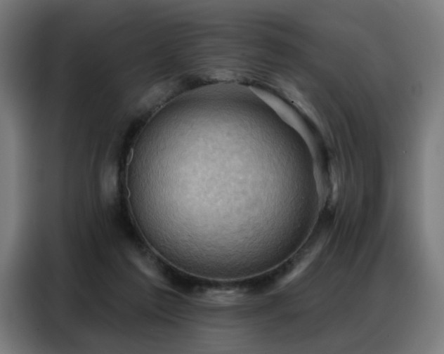 X0000088380213200705221100