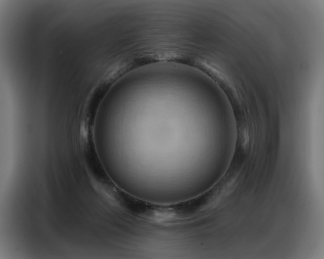 X0000088380214200705221100
