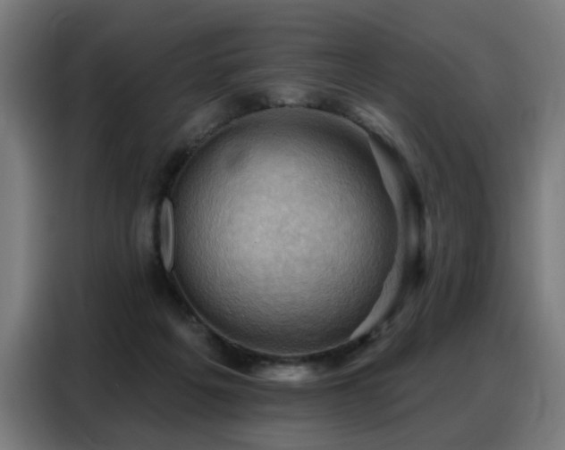 X0000088380217200705221100