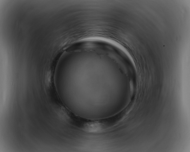 X0000088380219200705221100