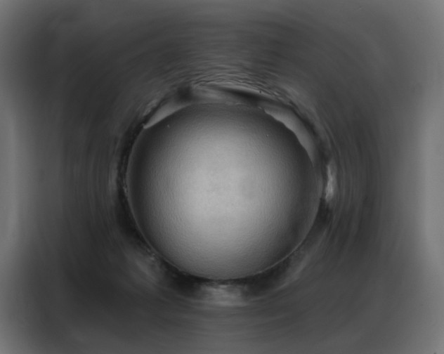 X0000088380221200705221100