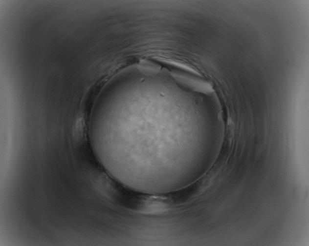 X0000088380222200705221100