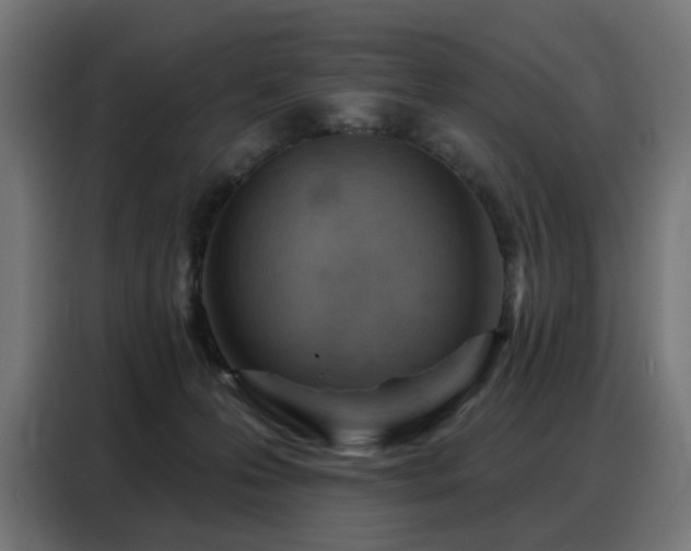 X0000088380223200705221100
