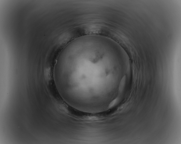 X0000088380224200705221100