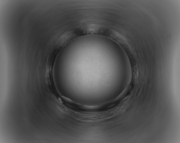 X0000088380225200705221100