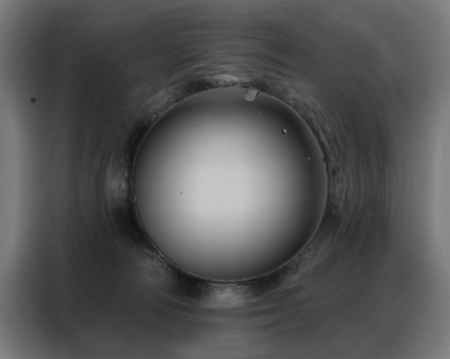 X0000088380226200705221100
