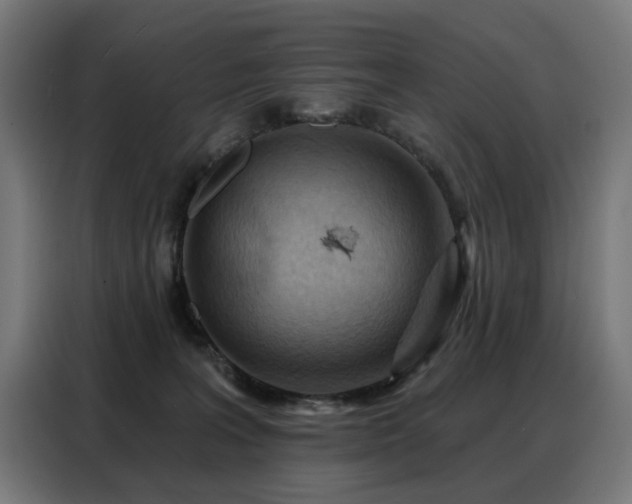 X0000088380227200705221100