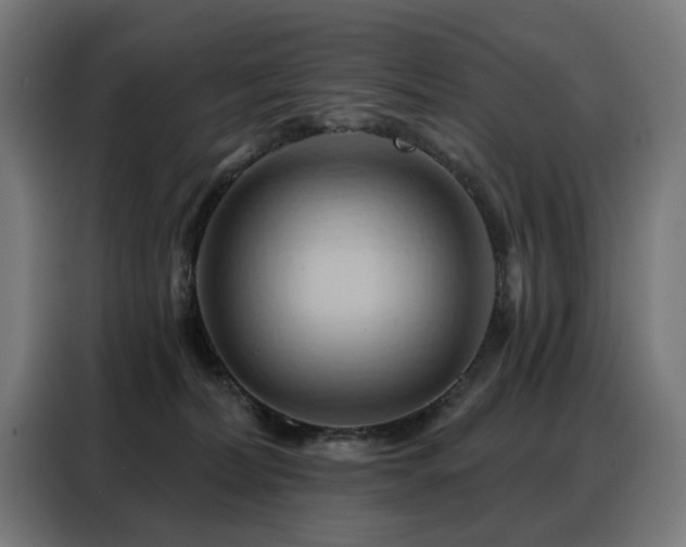 X0000088380228200705221100