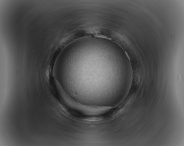 X0000088380229200705221100