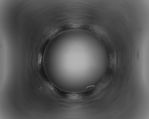 X0000088380230200705221100