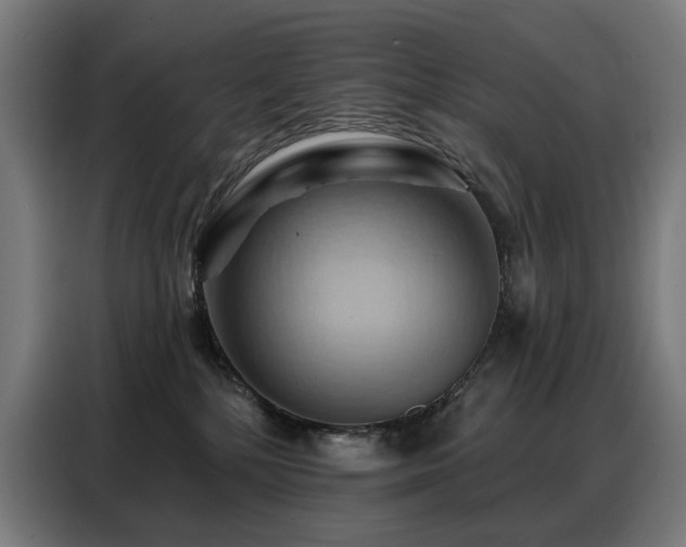 X0000088380232200705221100