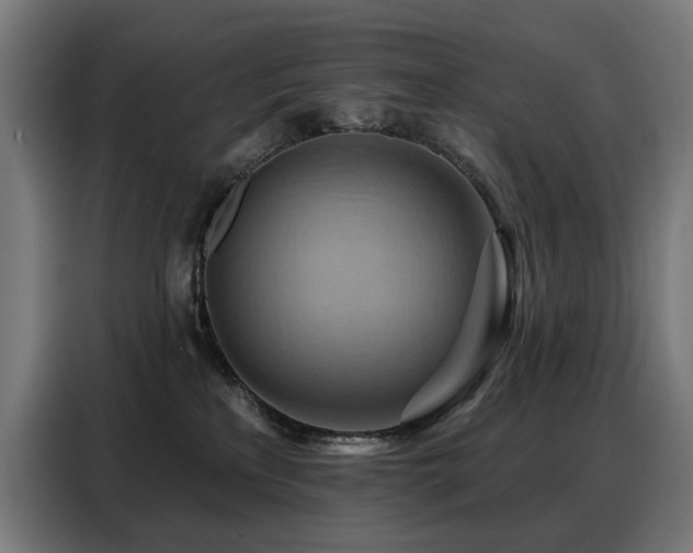X0000088380233200705221100