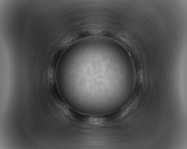 X0000088380234200705221100